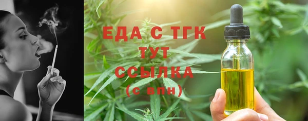 индика Абаза