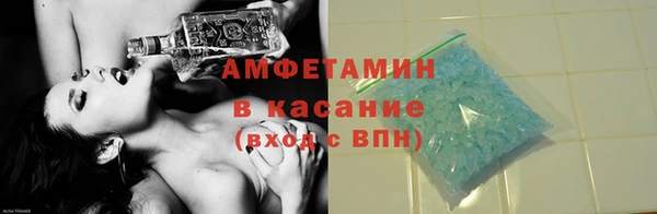 индика Абаза