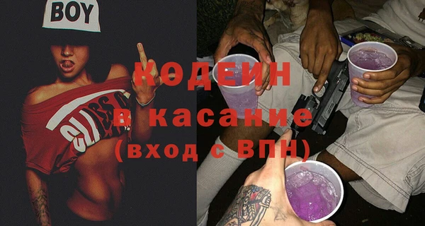 индика Абаза