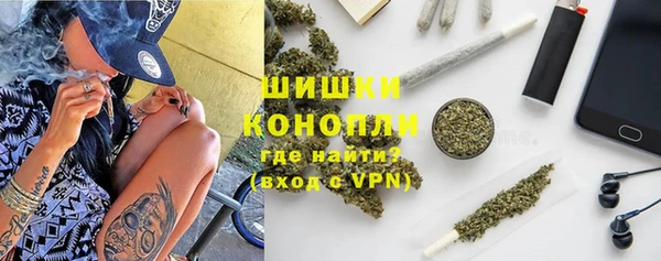 индика Абаза